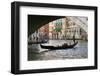 Tourist in a Gondola as They Pass under the Rialto Bridge, Venice, Italy-David Noyes-Framed Photographic Print