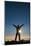 Tourist in Backlight Waiting for Sunset-Michael Runkel-Mounted Photographic Print