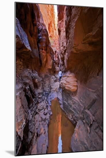 Tourist in Khazali Canyon, Wadi Rum, Jordan, Middle East-Neil Farrin-Mounted Photographic Print