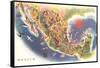 Tourist Map of Mexico-null-Framed Stretched Canvas