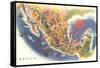 Tourist Map of Mexico-null-Framed Stretched Canvas