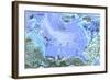 Tourist Map of Puerto Vallarta, Mexico-null-Framed Art Print