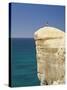 Tourist on Cliff Top at Tunnel Beach, Dunedin, South Island, New Zealand-David Wall-Stretched Canvas