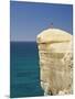 Tourist on Cliff Top at Tunnel Beach, Dunedin, South Island, New Zealand-David Wall-Mounted Photographic Print