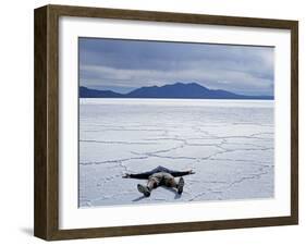 Tourist on Salt Crust of Salar De Uyuni, Emphasising Scale of Largest Salt Flat in World, Bolivia-John Warburton-lee-Framed Photographic Print