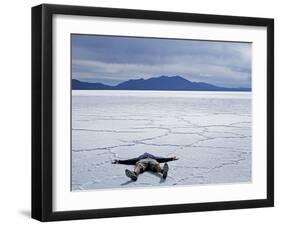 Tourist on Salt Crust of Salar De Uyuni, Emphasising Scale of Largest Salt Flat in World, Bolivia-John Warburton-lee-Framed Photographic Print