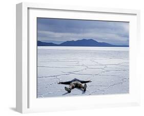 Tourist on Salt Crust of Salar De Uyuni, Emphasising Scale of Largest Salt Flat in World, Bolivia-John Warburton-lee-Framed Photographic Print