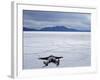 Tourist on Salt Crust of Salar De Uyuni, Emphasising Scale of Largest Salt Flat in World, Bolivia-John Warburton-lee-Framed Photographic Print