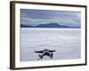 Tourist on Salt Crust of Salar De Uyuni, Emphasising Scale of Largest Salt Flat in World, Bolivia-John Warburton-lee-Framed Photographic Print