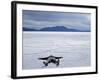 Tourist on Salt Crust of Salar De Uyuni, Emphasising Scale of Largest Salt Flat in World, Bolivia-John Warburton-lee-Framed Photographic Print