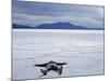 Tourist on Salt Crust of Salar De Uyuni, Emphasising Scale of Largest Salt Flat in World, Bolivia-John Warburton-lee-Mounted Photographic Print