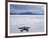 Tourist on Salt Crust of Salar De Uyuni, Emphasising Scale of Largest Salt Flat in World, Bolivia-John Warburton-lee-Framed Photographic Print