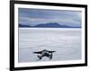 Tourist on Salt Crust of Salar De Uyuni, Emphasising Scale of Largest Salt Flat in World, Bolivia-John Warburton-lee-Framed Photographic Print