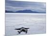 Tourist on Salt Crust of Salar De Uyuni, Emphasising Scale of Largest Salt Flat in World, Bolivia-John Warburton-lee-Mounted Photographic Print