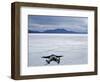 Tourist on Salt Crust of Salar De Uyuni, Emphasising Scale of Largest Salt Flat in World, Bolivia-John Warburton-lee-Framed Photographic Print