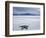 Tourist on Salt Crust of Salar De Uyuni, Emphasising Scale of Largest Salt Flat in World, Bolivia-John Warburton-lee-Framed Photographic Print