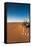 Tourist on sand dune, Valle De La Luna, Atacama Desert, San Pedro de Atacama, El Loa Province, A...-null-Framed Stretched Canvas