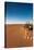 Tourist on sand dune, Valle De La Luna, Atacama Desert, San Pedro de Atacama, El Loa Province, A...-null-Stretched Canvas