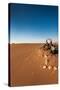 Tourist on sand dune, Valle De La Luna, Atacama Desert, San Pedro de Atacama, El Loa Province, A...-null-Stretched Canvas