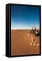 Tourist on sand dune, Valle De La Luna, Atacama Desert, San Pedro de Atacama, El Loa Province, A...-null-Framed Stretched Canvas