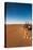 Tourist on sand dune, Valle De La Luna, Atacama Desert, San Pedro de Atacama, El Loa Province, A...-null-Stretched Canvas