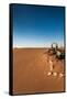 Tourist on sand dune, Valle De La Luna, Atacama Desert, San Pedro de Atacama, El Loa Province, A...-null-Framed Stretched Canvas