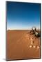 Tourist on sand dune, Valle De La Luna, Atacama Desert, San Pedro de Atacama, El Loa Province, A...-null-Mounted Photographic Print