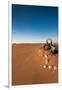 Tourist on sand dune, Valle De La Luna, Atacama Desert, San Pedro de Atacama, El Loa Province, A...-null-Framed Photographic Print