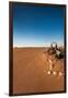 Tourist on sand dune, Valle De La Luna, Atacama Desert, San Pedro de Atacama, El Loa Province, A...-null-Framed Photographic Print