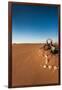 Tourist on sand dune, Valle De La Luna, Atacama Desert, San Pedro de Atacama, El Loa Province, A...-null-Framed Photographic Print