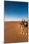 Tourist on sand dune, Valle De La Luna, Atacama Desert, San Pedro de Atacama, El Loa Province, A...-null-Mounted Photographic Print