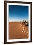 Tourist on sand dune, Valle De La Luna, Atacama Desert, San Pedro de Atacama, El Loa Province, A...-null-Framed Photographic Print