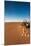 Tourist on sand dune, Valle De La Luna, Atacama Desert, San Pedro de Atacama, El Loa Province, A...-null-Mounted Photographic Print