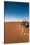 Tourist on sand dune, Valle De La Luna, Atacama Desert, San Pedro de Atacama, El Loa Province, A...-null-Stretched Canvas