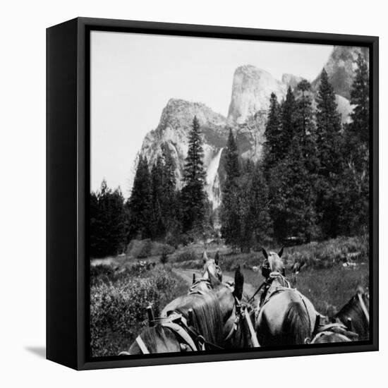 Tourist Photo from Horse-Drawn Wagon in Yosemite Valley, Ca. 1900-null-Framed Stretched Canvas
