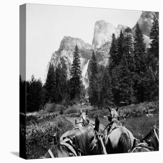 Tourist Photo from Horse-Drawn Wagon in Yosemite Valley, Ca. 1900-null-Stretched Canvas