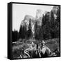 Tourist Photo from Horse-Drawn Wagon in Yosemite Valley, Ca. 1900-null-Framed Stretched Canvas