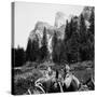 Tourist Photo from Horse-Drawn Wagon in Yosemite Valley, Ca. 1900-null-Stretched Canvas