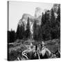 Tourist Photo from Horse-Drawn Wagon in Yosemite Valley, Ca. 1900-null-Stretched Canvas