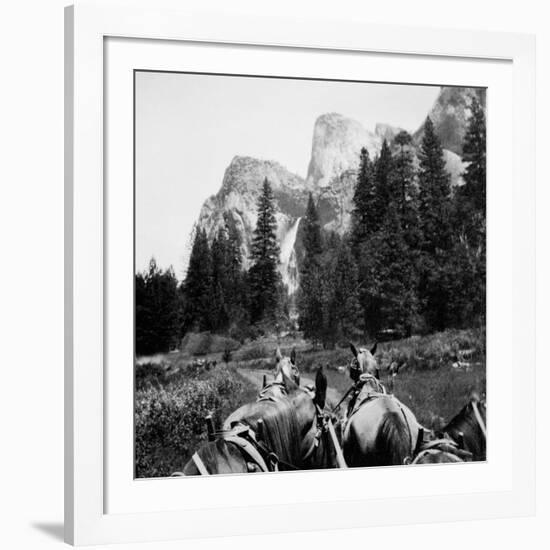 Tourist Photo from Horse-Drawn Wagon in Yosemite Valley, Ca. 1900-null-Framed Photographic Print