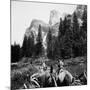 Tourist Photo from Horse-Drawn Wagon in Yosemite Valley, Ca. 1900-null-Mounted Photographic Print