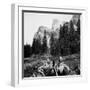 Tourist Photo from Horse-Drawn Wagon in Yosemite Valley, Ca. 1900-null-Framed Photographic Print