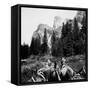 Tourist Photo from Horse-Drawn Wagon in Yosemite Valley, Ca. 1900.-Kirn Vintage Stock-Framed Stretched Canvas