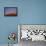 Tourist Photographing Ayers Rock in the Australian Outback-Paul Souders-Framed Stretched Canvas displayed on a wall