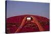 Tourist Photographing Ayers Rock in the Australian Outback-Paul Souders-Stretched Canvas