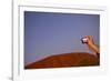 Tourist Photographing Ayers Rock in the Australian Outback-Paul Souders-Framed Photographic Print