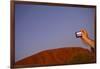 Tourist Photographing Ayers Rock in the Australian Outback-Paul Souders-Framed Photographic Print