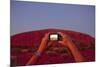 Tourist Photographing Ayers Rock in the Australian Outback-Paul Souders-Mounted Photographic Print