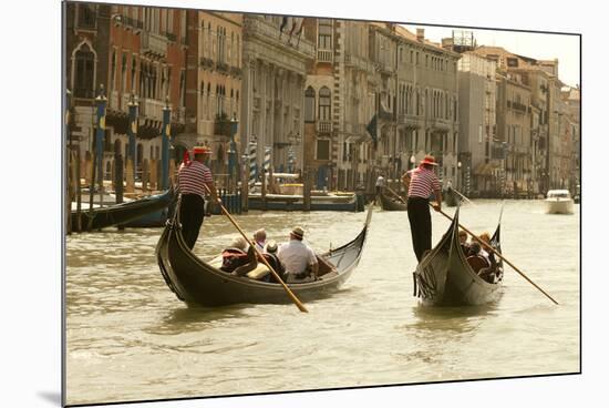 Tourist Ride in Gondolas on the Grand Canal in Venice, Italy-David Noyes-Mounted Photographic Print