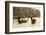 Tourist Ride in Gondolas on the Grand Canal in Venice, Italy-David Noyes-Framed Photographic Print